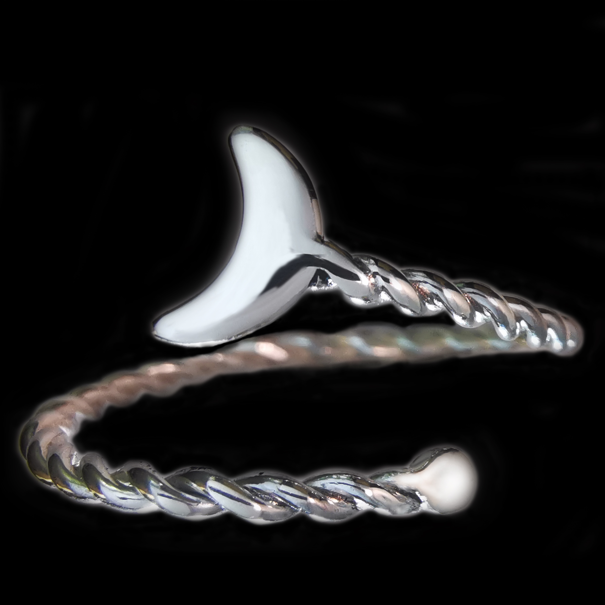 Anillo Luna _2 Anillo Luna _2