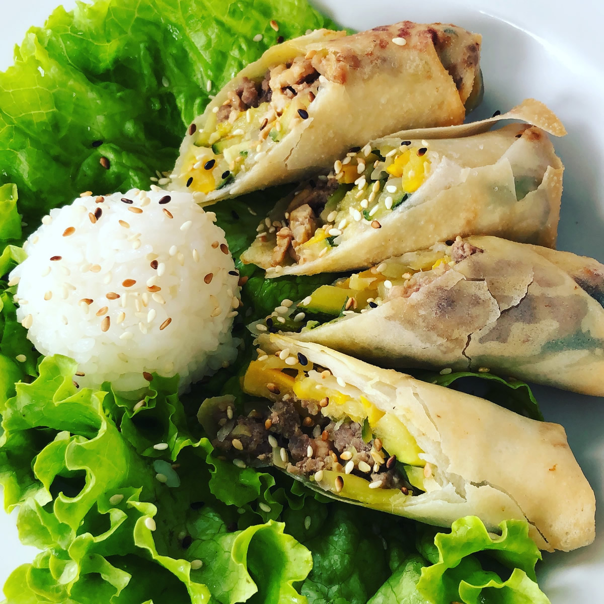 Spring rolls mixtos_2 Spring rolls mixtos_2